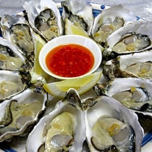 Oysters