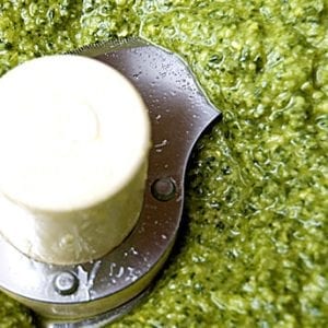 Pesto
