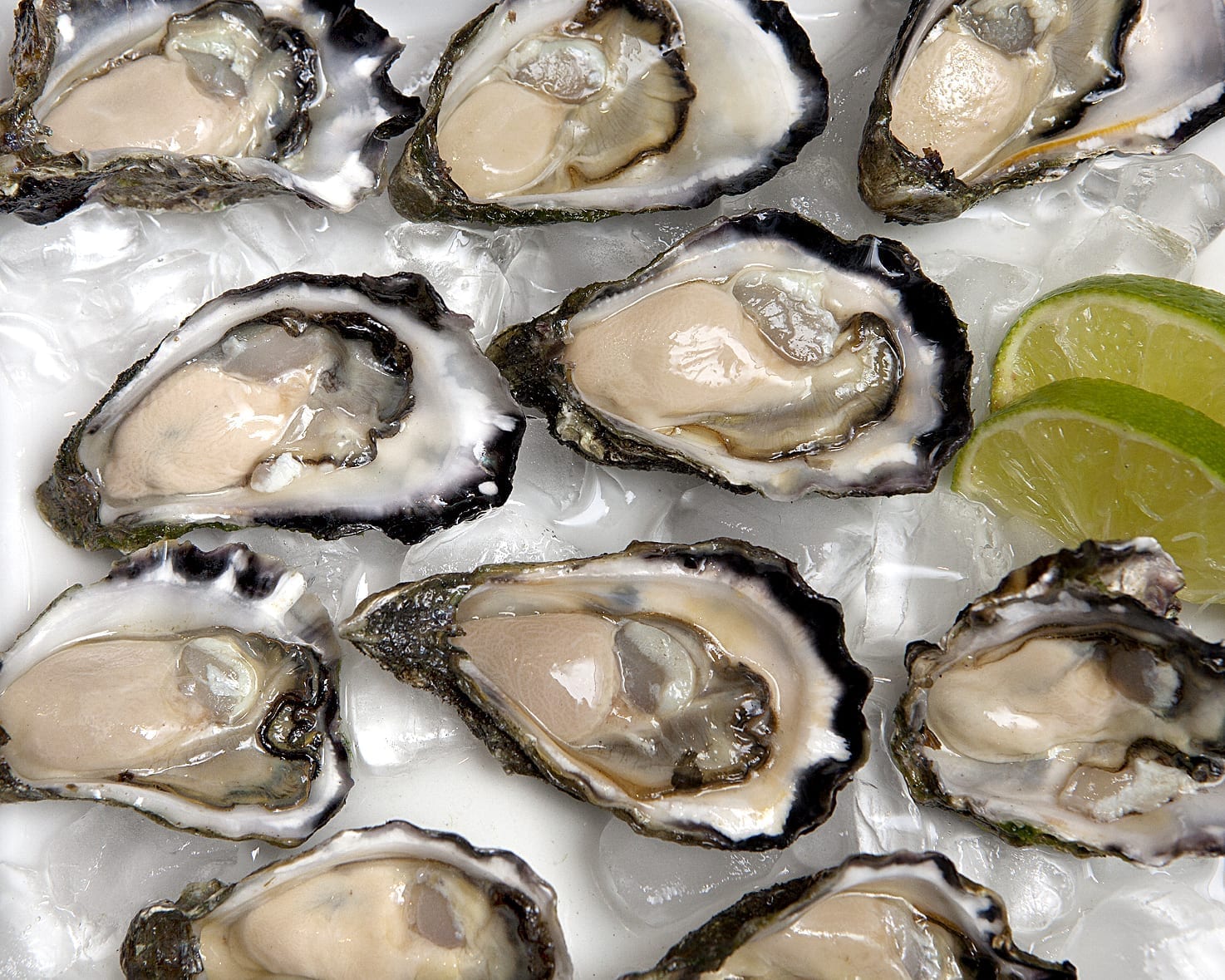 Oysters Direct Newcastle City Farmers Market